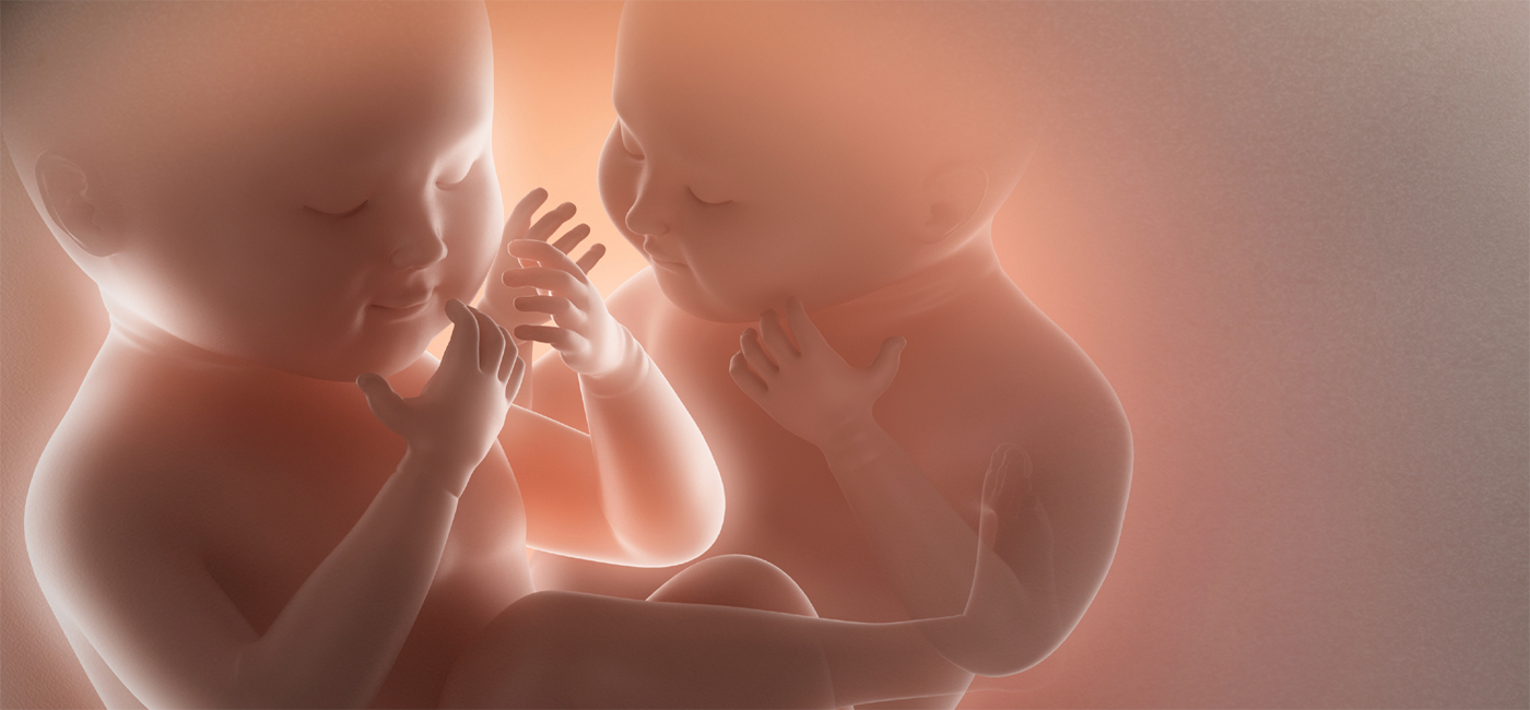 Is There Life After Birth