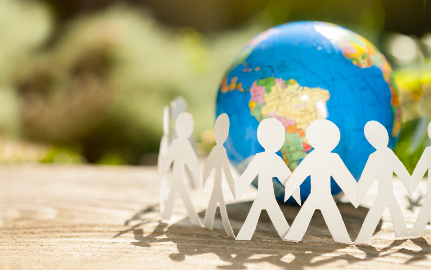 Category Sample Image